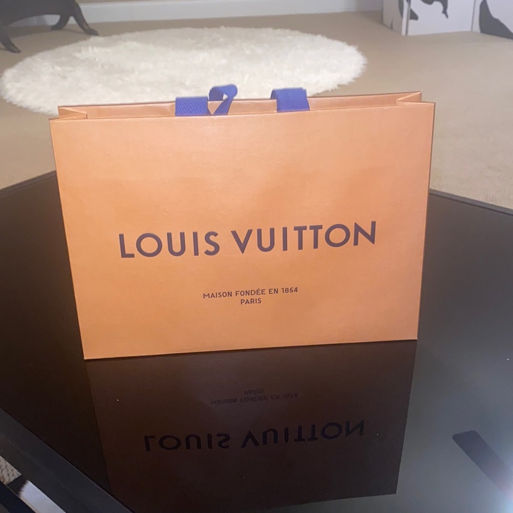 Louis Vuitton shopping bag